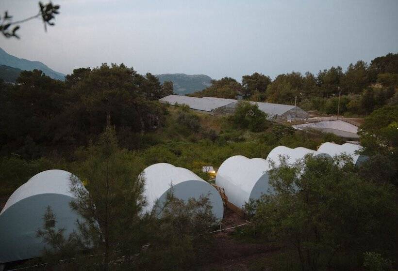 هتل Evergreen Glamping