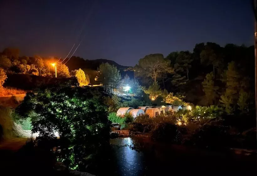 هتل Evergreen Glamping