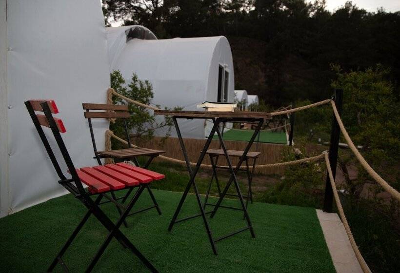 هتل Evergreen Glamping