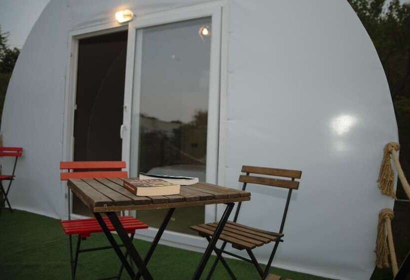 هتل Evergreen Glamping