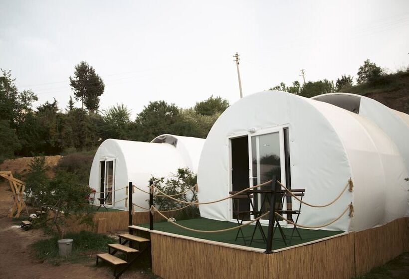 هتل Evergreen Glamping