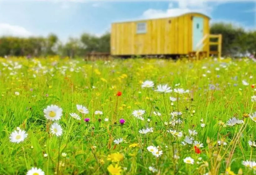 Hotelli Honeysuckle Farm Hut 3   Suffolk Farm Holidays