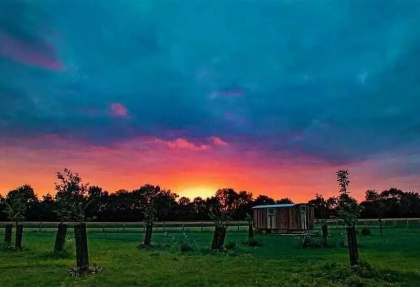 Hotelli Honeysuckle Farm Hut 3   Suffolk Farm Holidays