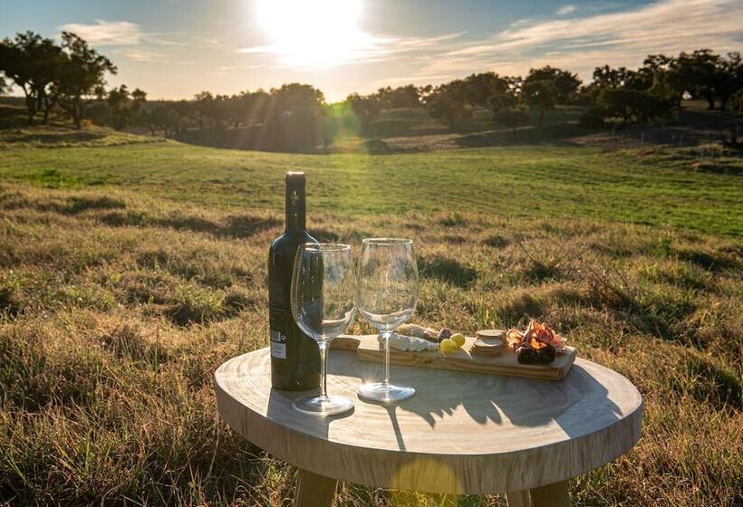 فندق ريفى Herdade Das Onzenas De Cima