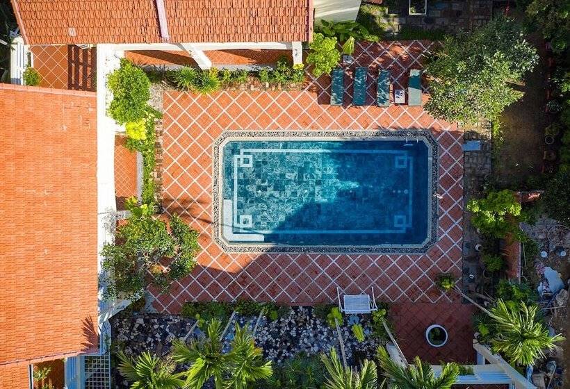 هتل The Muse House