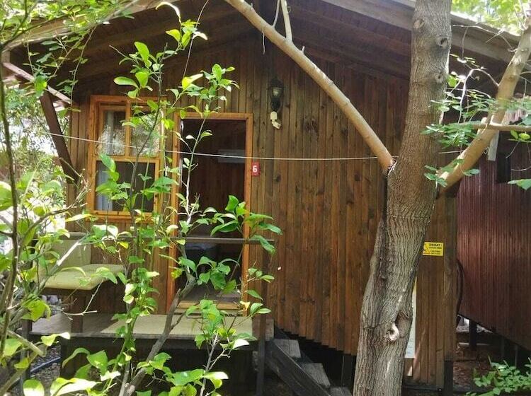 هتل Zakkum Pansiyon