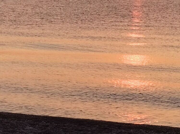 هتل Zakkum Pansiyon