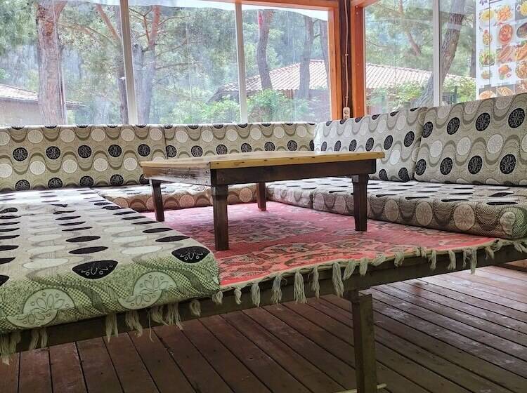 هتل Zakkum Pansiyon