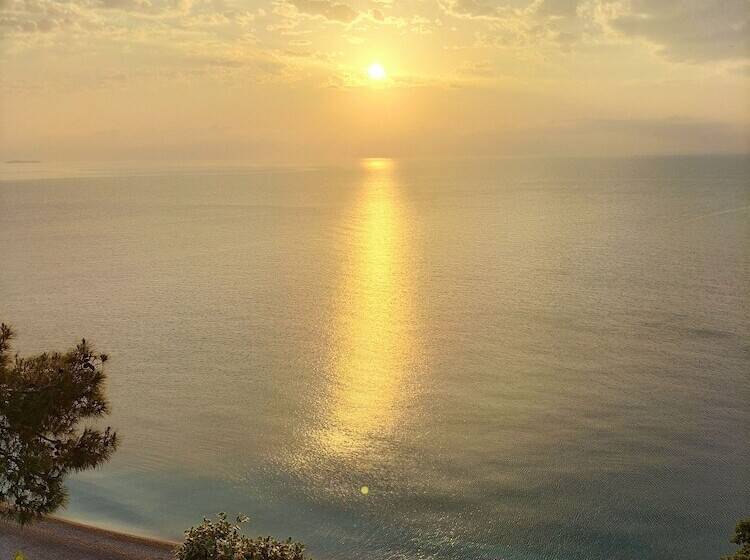 هتل Zakkum Pansiyon