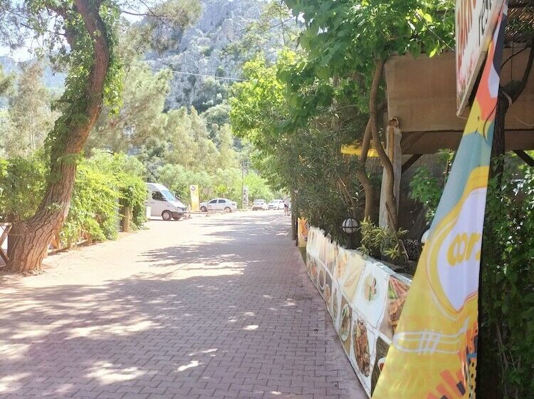 هتل Zakkum Pansiyon