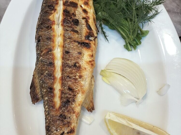 هتل Zakkum Pansiyon