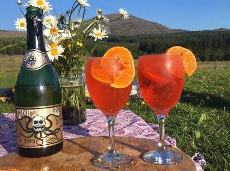 Luxury Cabin In The Magical Galloway Forest Park