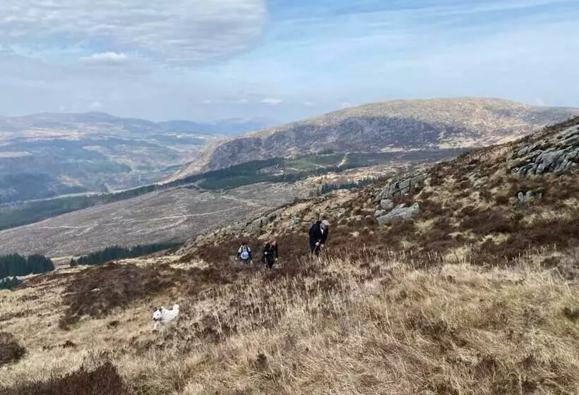 Luxury Cabin In The Magical Galloway Forest Park