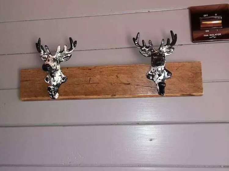 Luxury Cabin In The Magical Galloway Forest Park