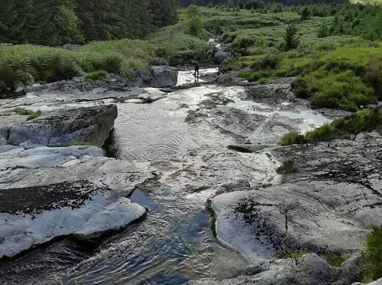 Luxury Cabin In The Magical Galloway Forest Park