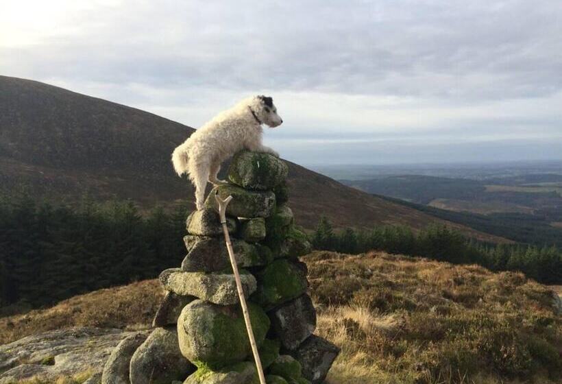 Luxury Cabin In The Magical Galloway Forest Park