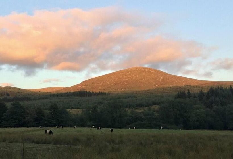 Luxury Cabin In The Magical Galloway Forest Park