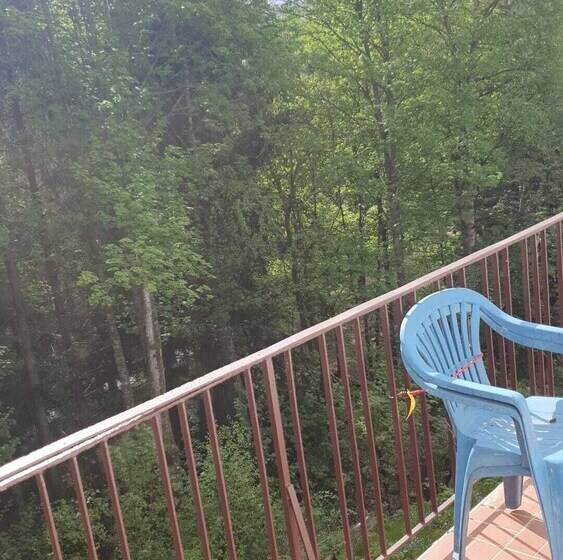 ペンション Gästehaus Und Fitness Haus Bergquell