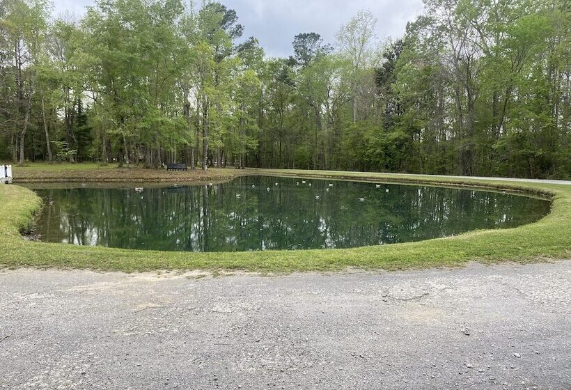 膳宿费 Stroble Paradise