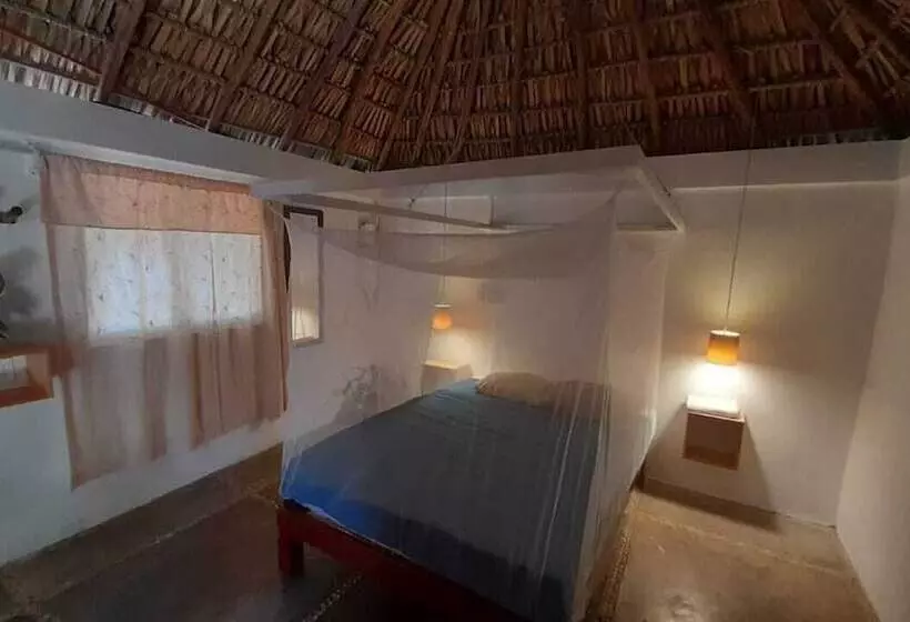 Hostal Punta Paraíso Cabañas