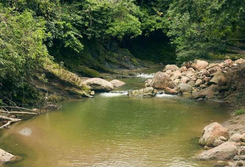 فندق Bosque Guardian Lodge