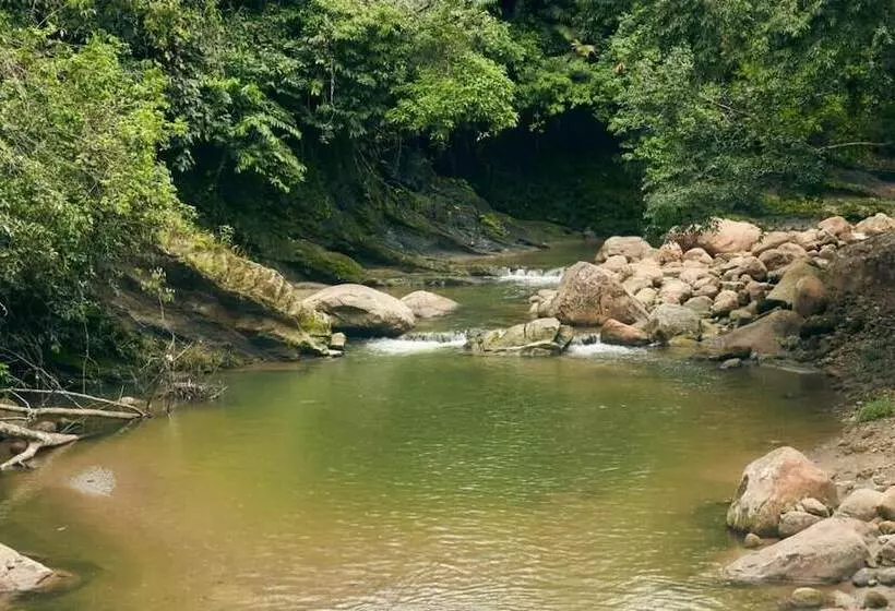 Hotelli Bosque Guardian Lodge