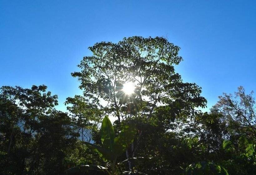 فندق Bosque Guardian Lodge