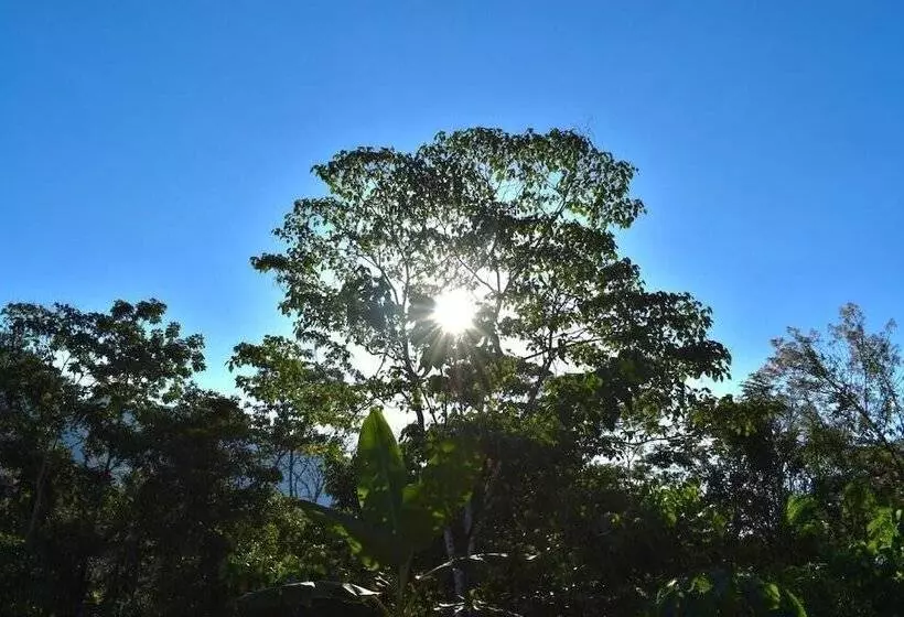 Hotelli Bosque Guardian Lodge