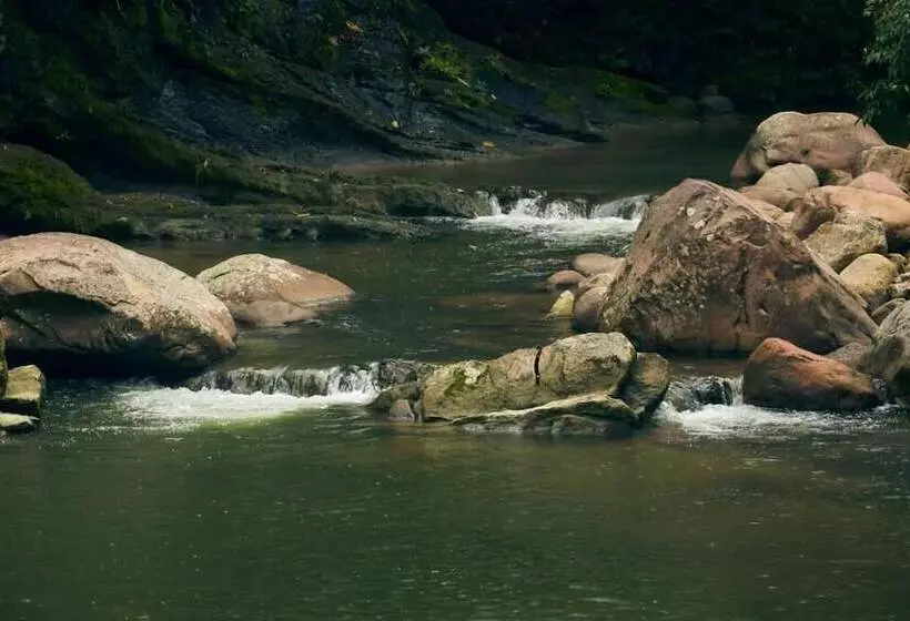 Hotelli Bosque Guardian Lodge