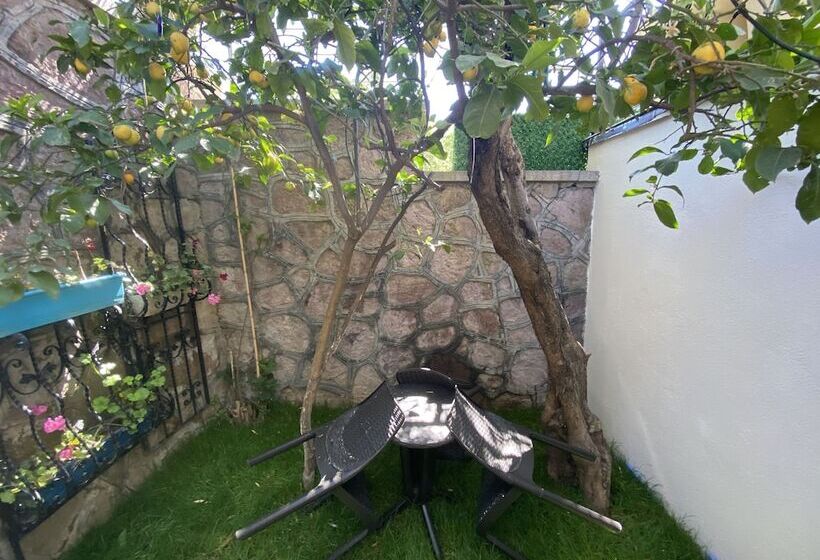 هتل Cunda Villa Anka