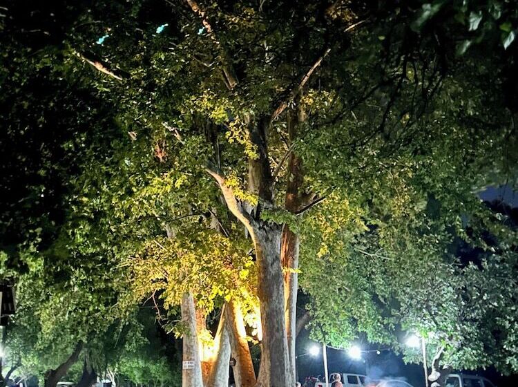 교외 호텔 Casablanca La Granja De Capilla