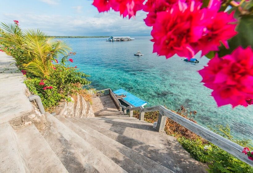 酒店 Sea La Vie Resort Nusa Penida