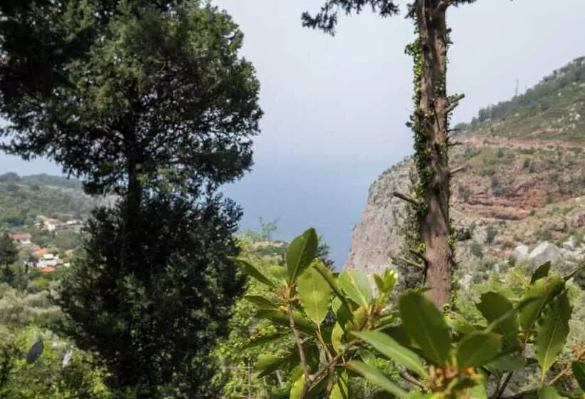 Watermill Villa & Hotel Faralya