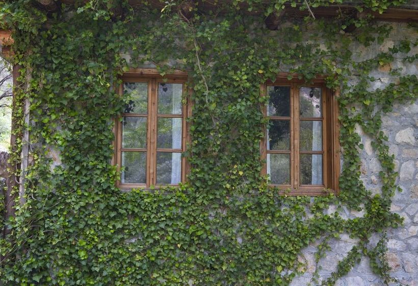 Watermill Villa & Hotel Faralya