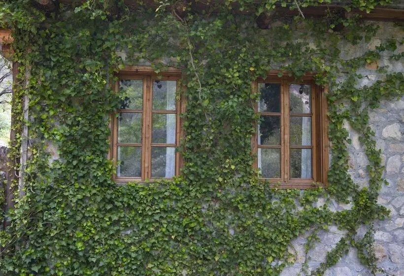 Watermill Villa & Hotel Faralya