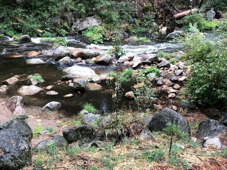 فندق على الطريق Sierra Inn On The River