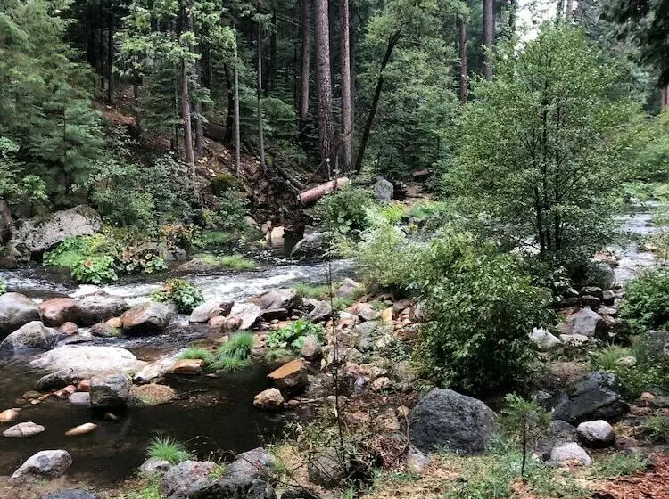 Motelli Sierra Inn On The River