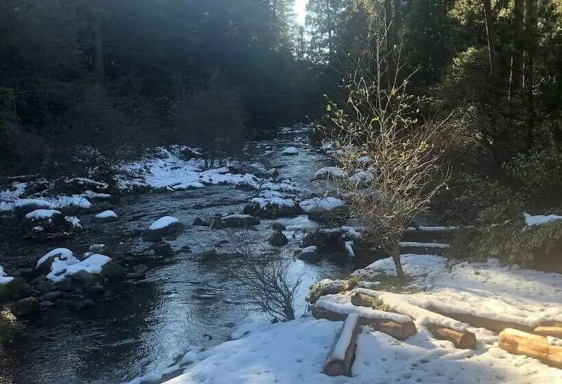 Motelli Sierra Inn On The River