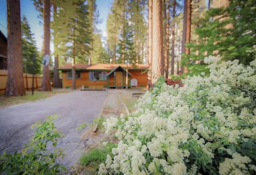 Whispering Pines Cabin   Family And Pet Friendly Abode