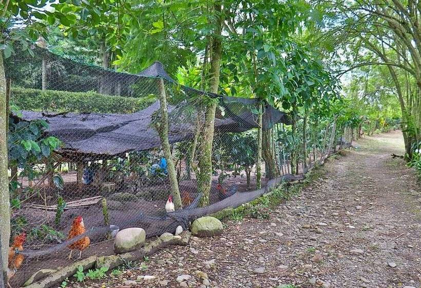 Finca Hotel Los Aperos