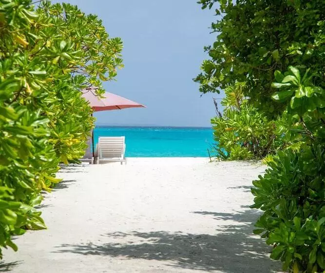 Hondaafushi Island Resort