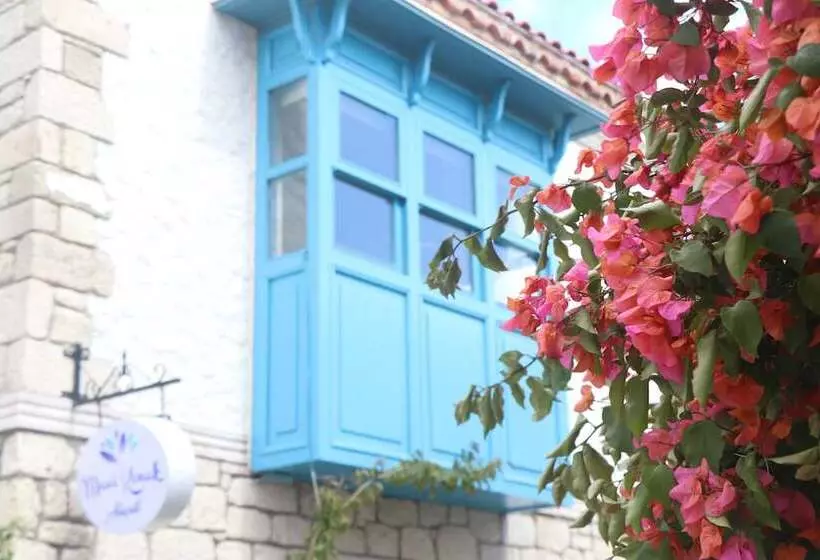 هتل Mavi Konak Alacati