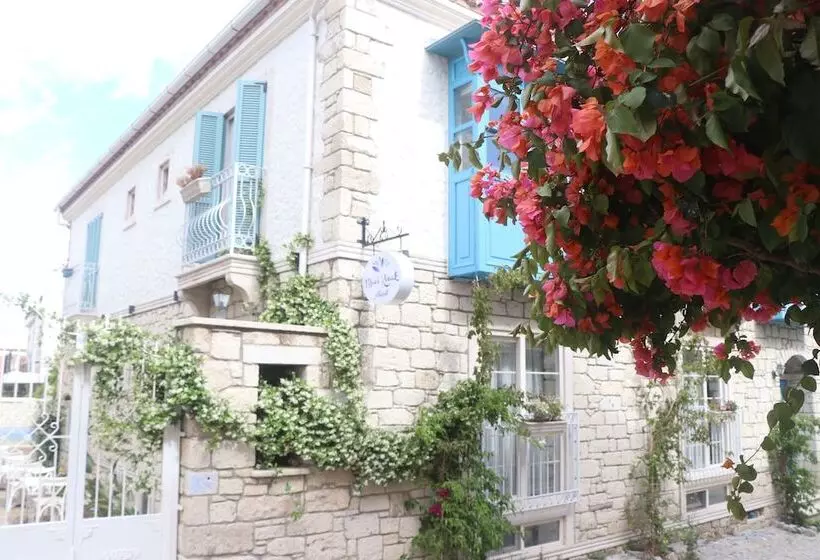 هتل Mavi Konak Alacati
