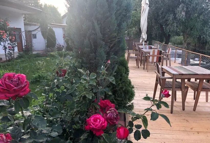 Hotelli Paradise Delta House