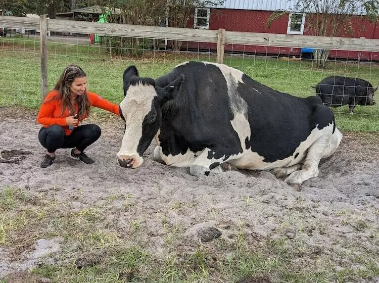ホテル Rooterville Animal Sanctuary