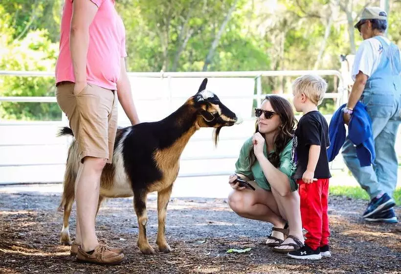 ホテル Rooterville Animal Sanctuary