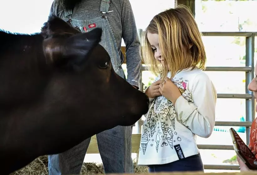 ホテル Rooterville Animal Sanctuary