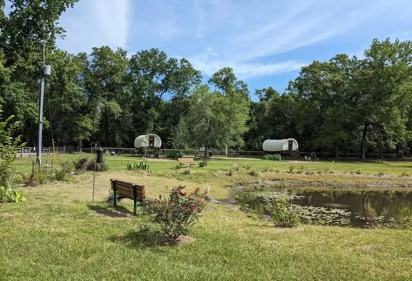 ホテル Rooterville Animal Sanctuary