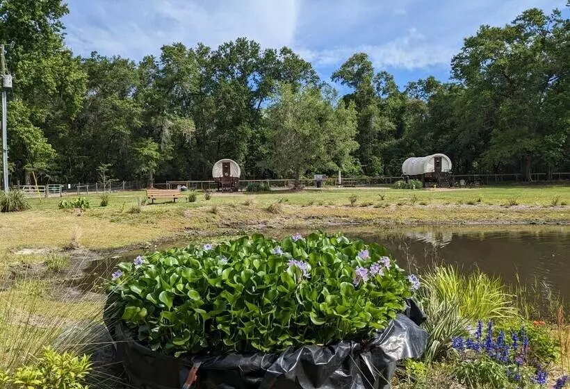 ホテル Rooterville Animal Sanctuary
