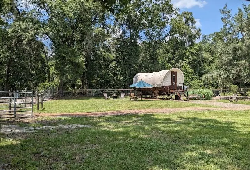 ホテル Rooterville Animal Sanctuary